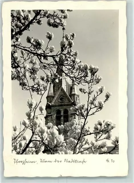 10387604 - 7530 Pforzheim Turm der Stadtkirche Magnolien Pforzheim Stadtkreis