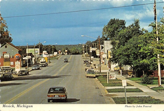 Mesick, MI Michigan   STREET SCENE  Stores~Cars  WEXFORD COUNTY  4X6 Postcard
