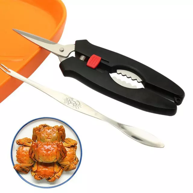 Ensemble D'outils pour Fruits de Mer, Ciseaux et Fourchettes Durables pour