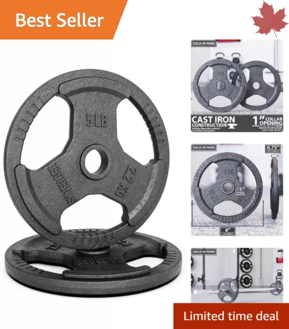 Heavy-Duty Cast Iron Weight Plates - 2.5-45 Pounds, Singles, Pairs & Sets