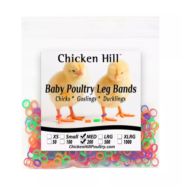 200 Mix Color Chick Leg Bands ~ 1/4" Size 4 Poultry Chickens Ducks Geese Day Old