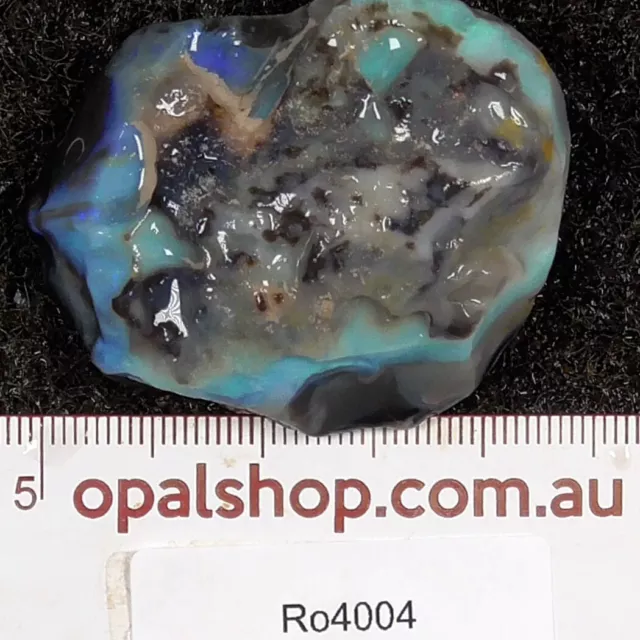 Opal Rough Single From Lightning Ridge, Australia- Ro4004