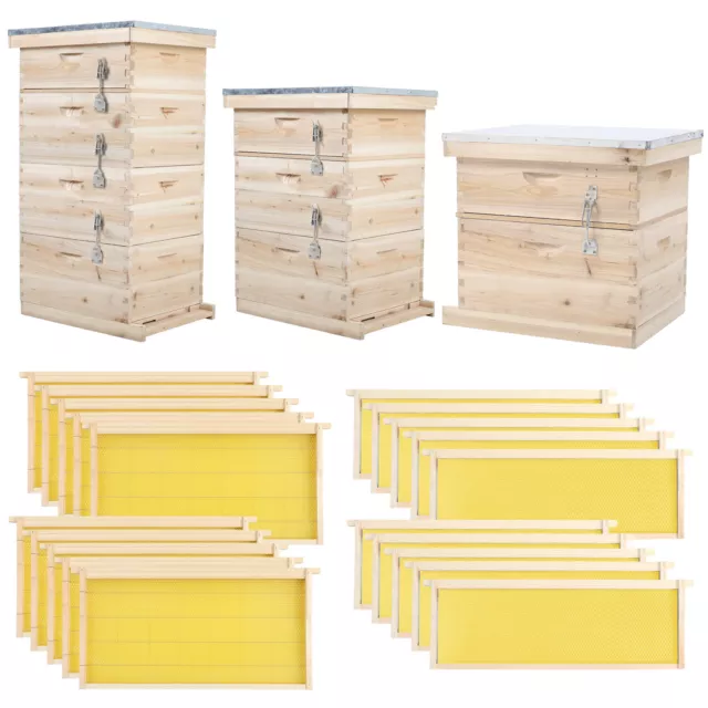 Langstroth/UK Beehive Box Wooden Bee Hive Frames Beekeeping Honey Brood Box Kit