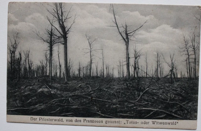 cpa view of Priesterwald Wood The Priest Wood of Widows War 14-18 Feldpost