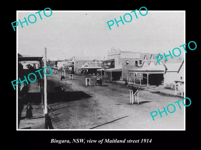 OLD LARGE HISTORICAL PHOTO OF BINGARA NSW VIEW OF MAITLAND STREET c1914