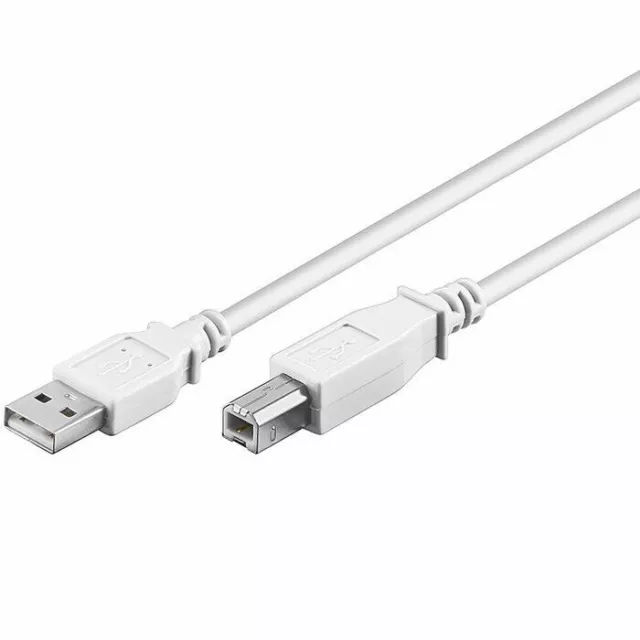 GOOBAY Cavo USB 2.0 A / B 5 m Bianco