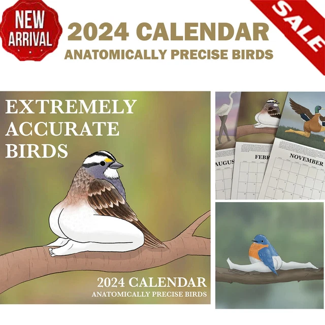 2025 CALENDAR OF EXTREMELY ACCURATE BIRDS 2025 Bird Calendar Wall