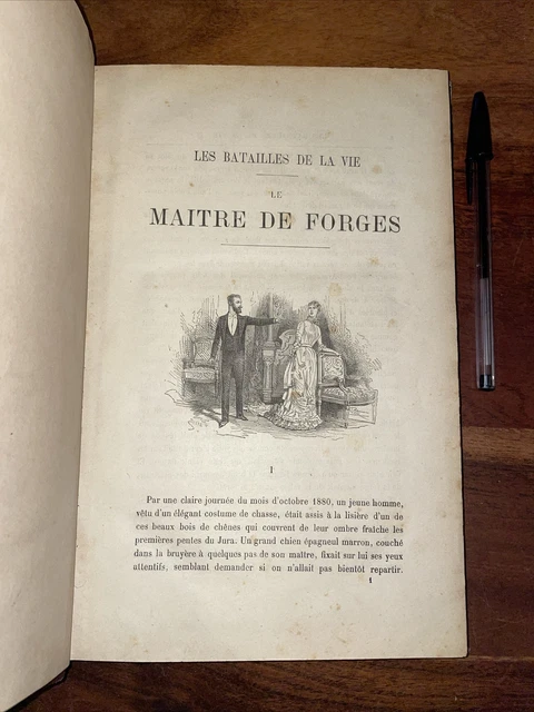 LE MAITRE DE les batailles de la vie illustré