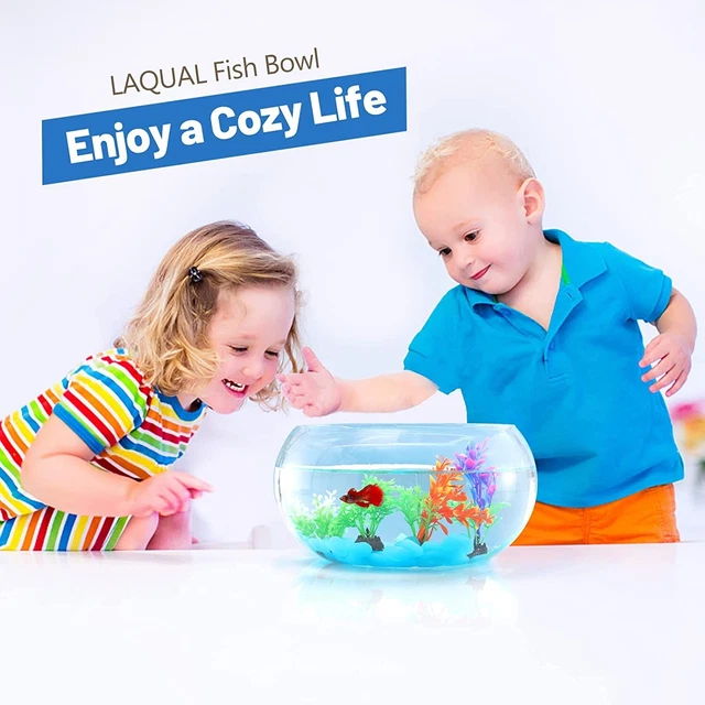 1 Gallon Glass Fish Bowl with Aquarium Decor for Betta & goldfish 4Pcs in 1 Pack 3
