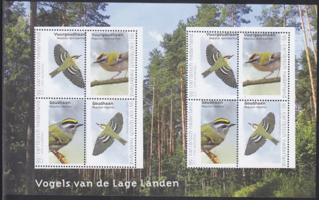 Caribbean Netherlands Issue 2018 (MS 34) Birds