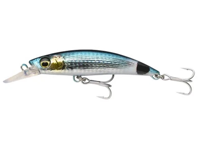 Leurre Popper Savage Gear Gravity - Pour Bar, Brochet, Carnasier Eau Salée - Lancer Longue Distance, Hameçons Résistants