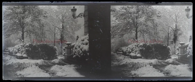 Paysage enneigé c1912 Photo NEGATIVE Plaque de verre Stereo Vintage V33L21n5
