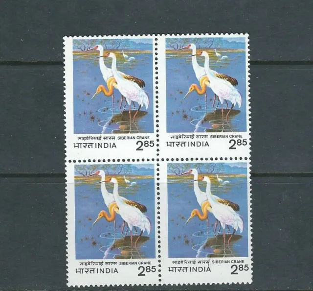 Indischem 1983 Siberian Crane (Scott 1009) VF MNH Block Of 4