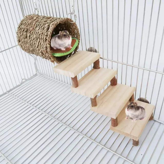 Juguete de escalera de madera para hamster con jaula de túnel de hierro conejill