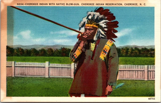 Postcard Cherokee Indian with Native Blow-Gun Cherokee NC North Carolina a4