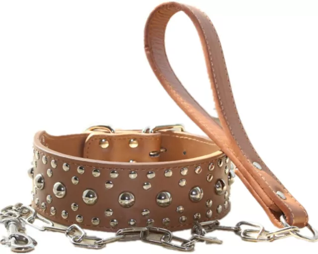 2" Leather Studded Dog Collar & Leash set for Medium & Large Pit Bull Terrier