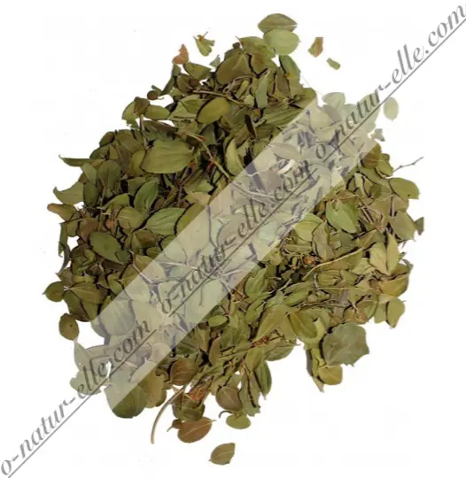 Dried Sidr Leaves Jujube Leaves ORGANIC 100% Natural 40g