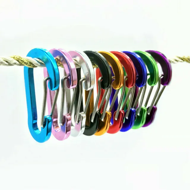 5 X Stainless Aluminium carabiner clip Clasp Hook Keyring Camping Carabina