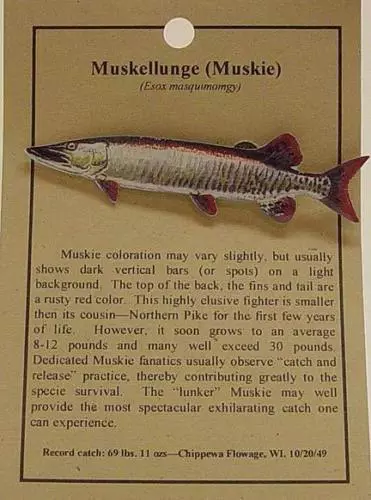NEW MUSKIE FISH Hat Pin Lapel Pins - Muskellunge $6.50 - PicClick