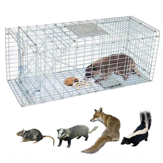 thumbnail image 2 of EXTRA LARGE HUMANE Live Animal Cage Trap Catch Release Possum Cat 2 of 13