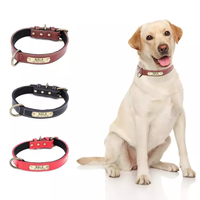 Hundehalsband Namen Telefonnummer Personalisiert Gravur Weiches Leder Halsband