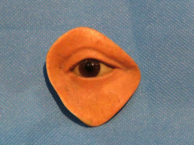 WWII Prosthetic Model of an Eye