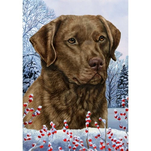 Winter House Flag - Chesapeake Bay Retriever 15701