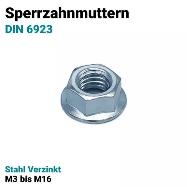 Sperrzahnmutter Flanschmutter M3 bis M16 Bundmutter DIN 6923 - Stahl Verzinkt
