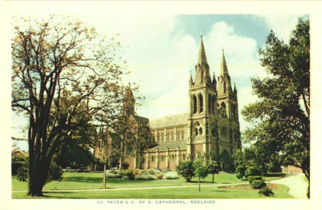 View of St Peter's Cathedral At Torrens River, Adelaide, Australia Postcard