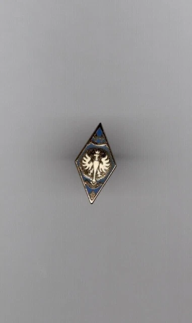 Insigne Aéronaval - Flottille 31F - Pin's Militaire Français - Collection Armée De L'air - Occasion