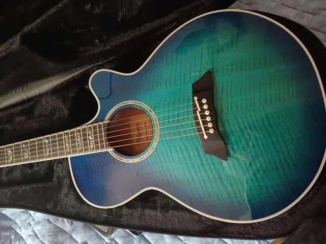 Takamine TDP181AC SBB エレアコ TDP181AC SBB（生産終了）｜100シリーズ｜エレクトリック