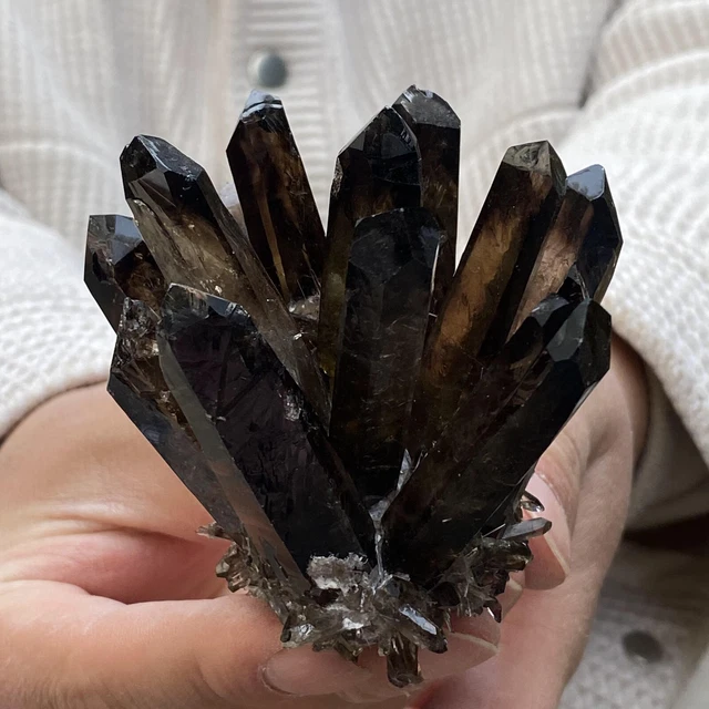 212G  New Find black Phantom Quartz Crystal Cluster Mineral Specimen Healing