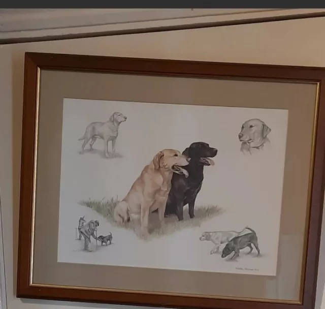Original Labrador Drawings By Nigel Hemming, Signed. 50% half sale price today Original Labrador Drawings By Nigel Hemming, Signed. 50% half sale price today