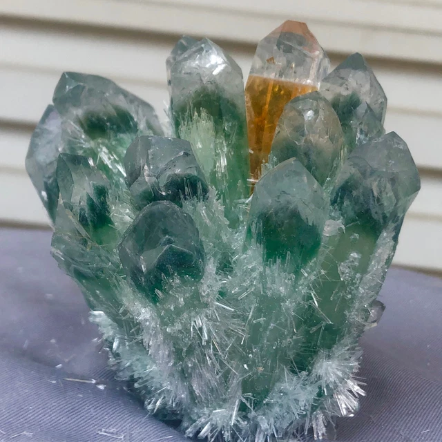 1.13LB New Find Green Phantom Quartz Crystal Cluster Mineral Specimen Healing 2