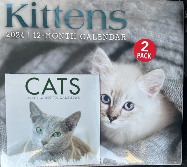 2024 KITTENS CATS 12 Month Wall Calendar 12" x 11" and Mini 6" x 6" 9.