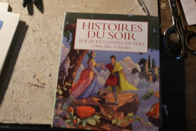 livre enfant Histoires du soir - magie et contes de fées
