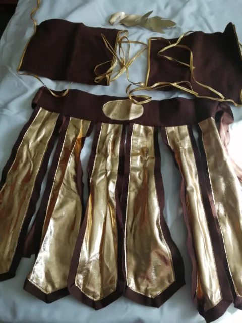 Fancy Dress-Mens Toga/Roman outfit