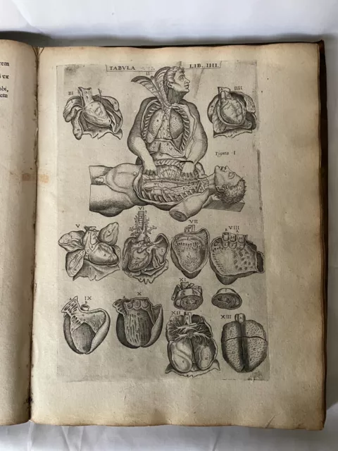 1579 Valverde de Hamusco [VIVAE IMAGINES PARTIUM CORPORIS HUMANI] Anatomy 17 pl.