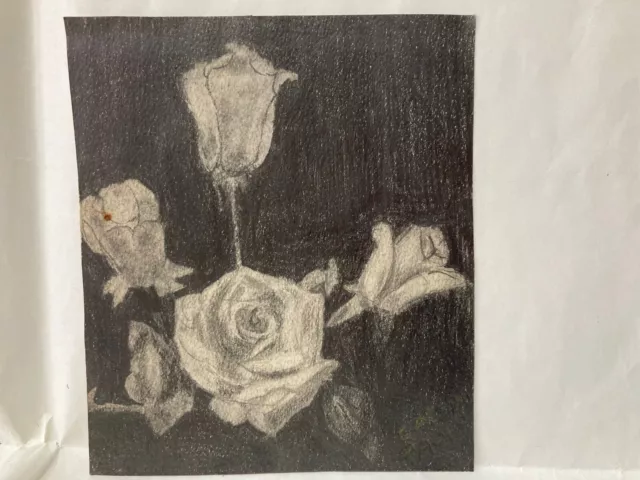 Disegno A Carboncino-Matita-Fiori Flowers Rose  Firmato  Primi 900.