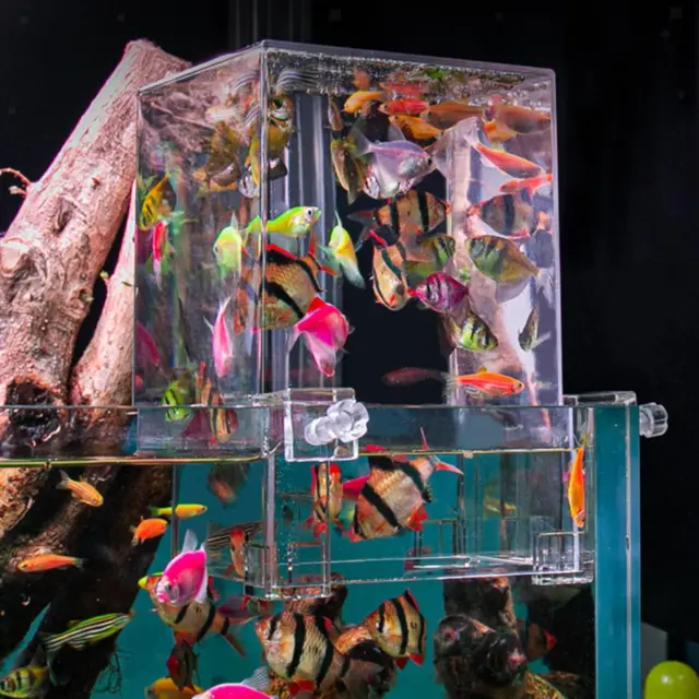 Negative Pressure Fish Tank Clear Desktop Aquarium Small Acrylic Fish Tank