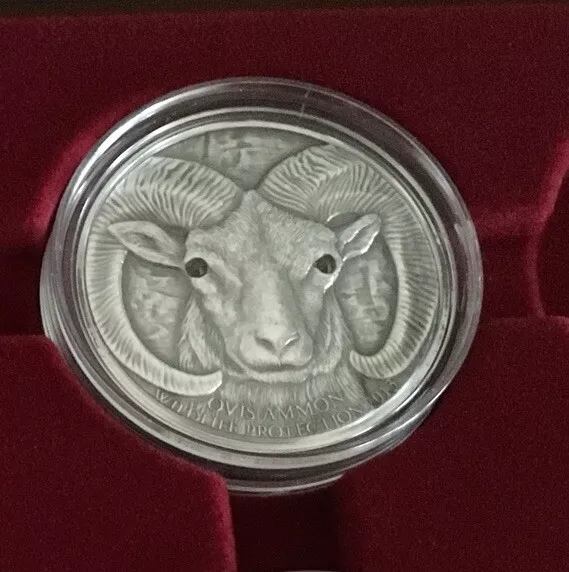 500 Togrog Mongolei 2013 - Argali/ Wildschaf 1 OZ Silber Antik Finish