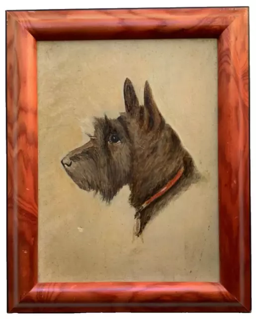 French Impressionism Portrait Dog Brown Scottish Terrier Oil painting