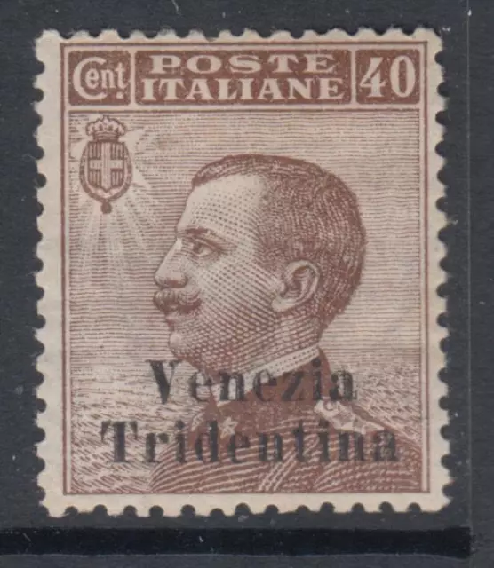 Italy 1918 - Venezia Tridentina - Sassone n.24 cv 1080$ Super Centered MH*