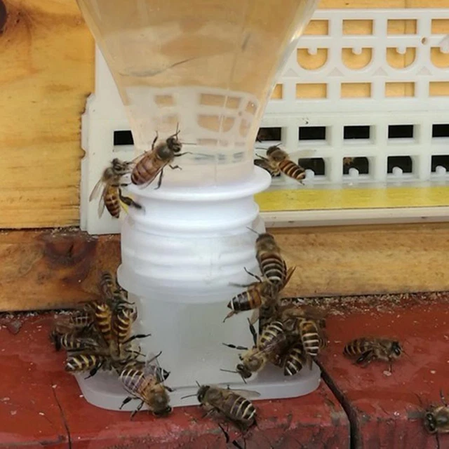 Bee Drinking Fountain Bee Queen Bee Water feeder Equipment Keeping Sale Hoc A9M9