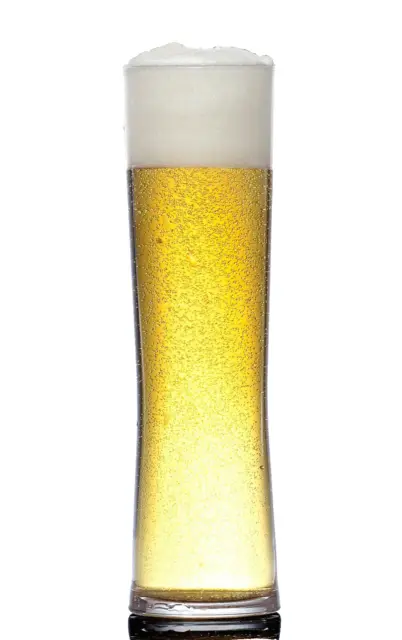 Bierglas 0,5L Kunststoff  2 Stück Halbe bruchsicher Goaß Weizenbier glasklar