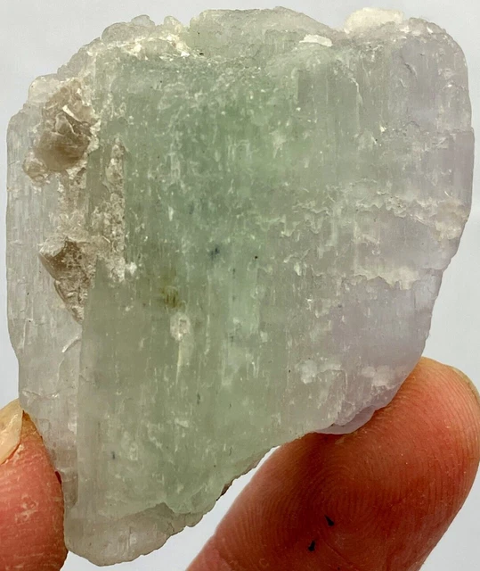 40 Gram Stunning Quality Lovely Cute Bi-Color Kunzite Crystal @ Kunar Mine AFG