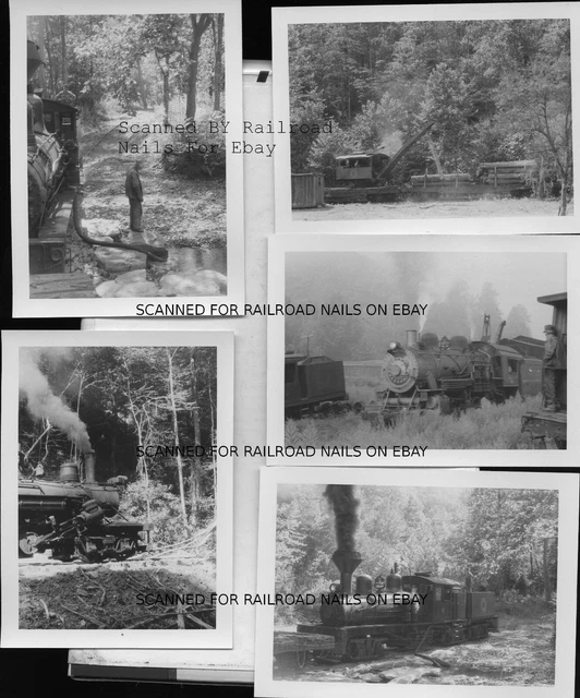 Lot of 5 1950s Original Photos Buffalo Creek & Gauley West Virginia