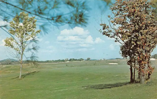 PIPESTEM STATE RESORT PARK, West Virginia WV ~ Golf Course Vintage Postcard