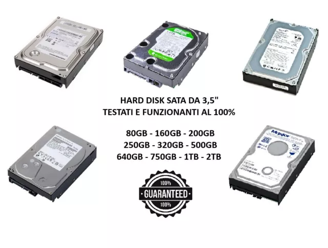 Hard Disk Hdd Sata 3,5" Interni 80Gb 160Gb 320Gb 500Gb 1Tb 2Tb Garantiti Al 100%