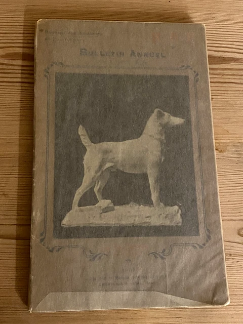 Wire & Smooth Haired Fox Terrier Dog Book By French Club  1909 No. 1 Ltd Ed